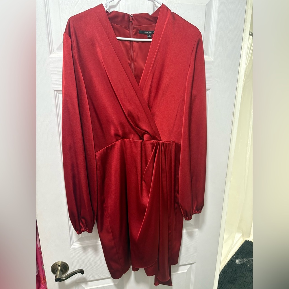 Alex Marie Vibrant Red Long Sleeve Dress